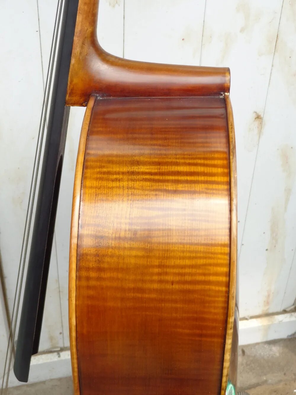 0805-15 Cello 4/4 size, nicely flamed maple back, great sounding cello - Ampere Galaxy